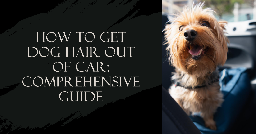 How To Get Dog Hair Out Of Car: Comprehensive Guide