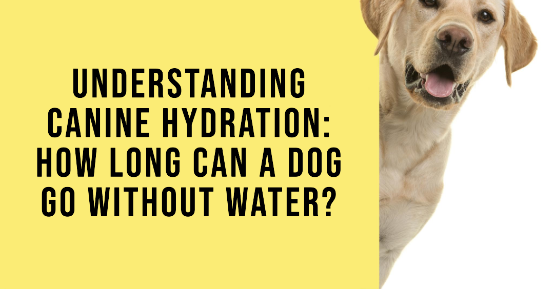 Understanding Hydration: How Long Can a Dog Go Without Water?