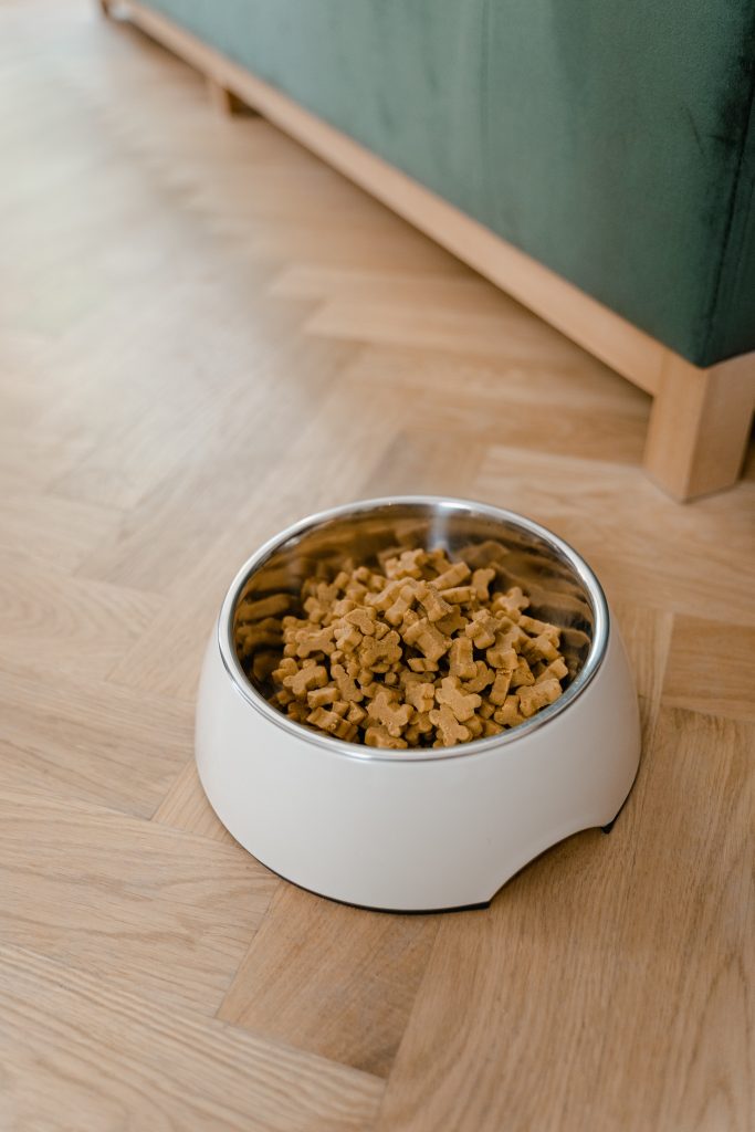 when to switch from puppy food to dog food goldendoodle