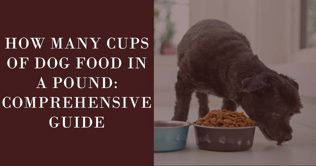 How Many Cups Of Dog Food In A Pound: A Comprehensive Guide