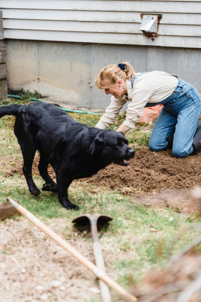 how to cover mud in yard for dogs